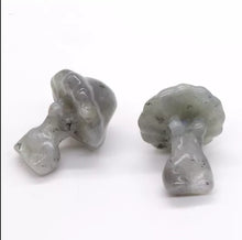 Load image into Gallery viewer, Unique Mushroom Lady Gemstones