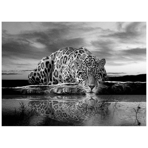 5D DIY Black & White Leopard Diamond Painting