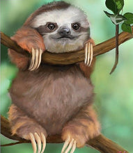 Load image into Gallery viewer, 5D DIY Cute Sloth Diamond Paintings - Assorted Sizes